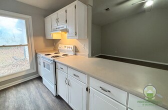 103 Parkston Ave in Greenville, SC - Foto de edificio - Building Photo