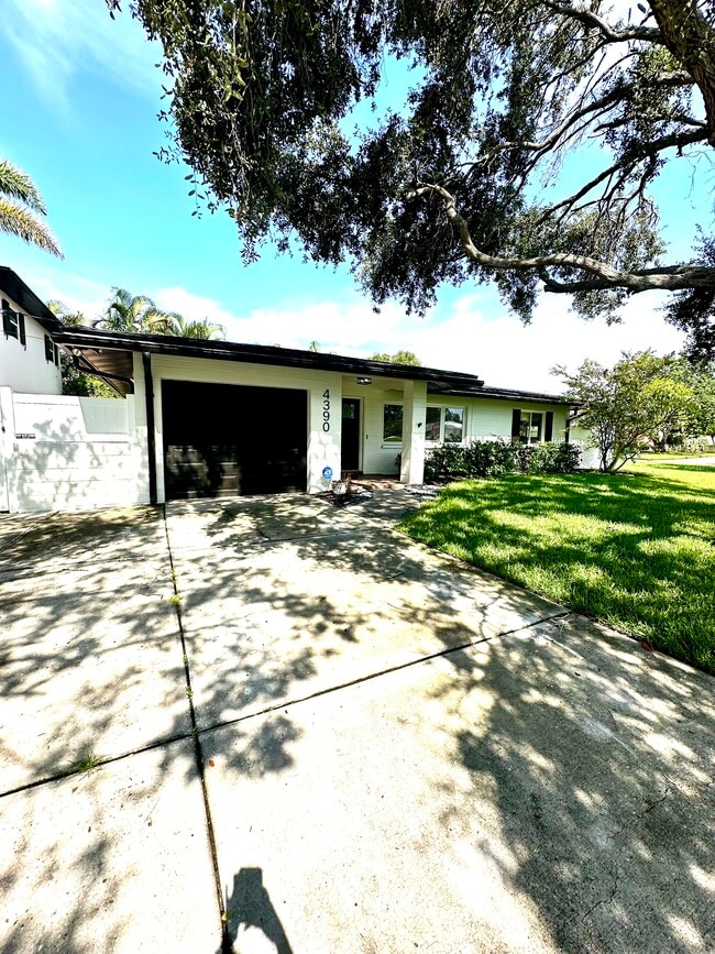 property at 4390 Maple St NE