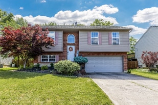 868 Virginiabradford Ct in Elsmere, KY - Building Photo