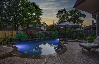 3215 Canna Lily Ct in Houston, TX - Building Photo