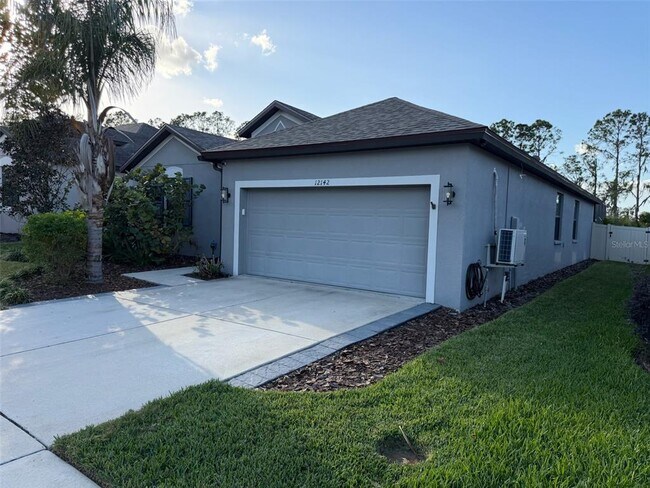 12142 Creek Preserve Dr in Riverview, FL - Building Photo - Building Photo