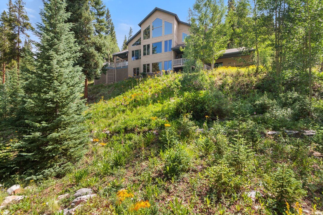 96 Wagon Rd in Breckenridge, CO - Foto de edificio