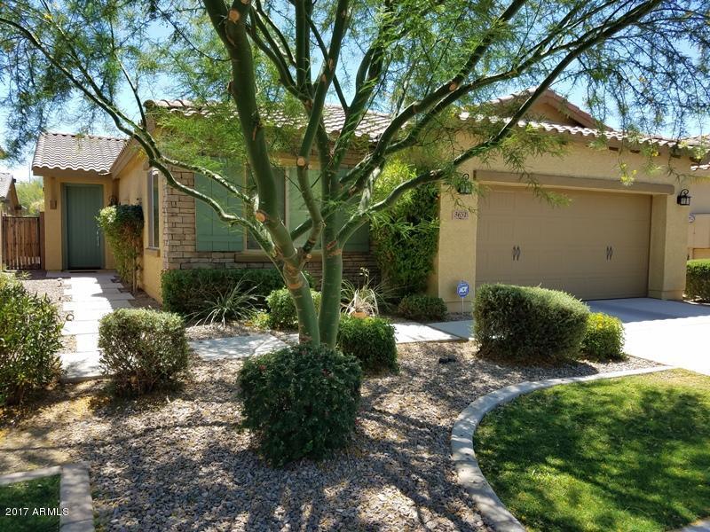 3651 S Arizona Pl in Chandler, AZ - Building Photo