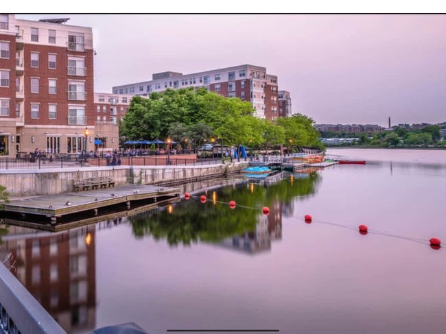 16 Maple St, Unit 4 in Waltham, MA - Foto de edificio - Building Photo