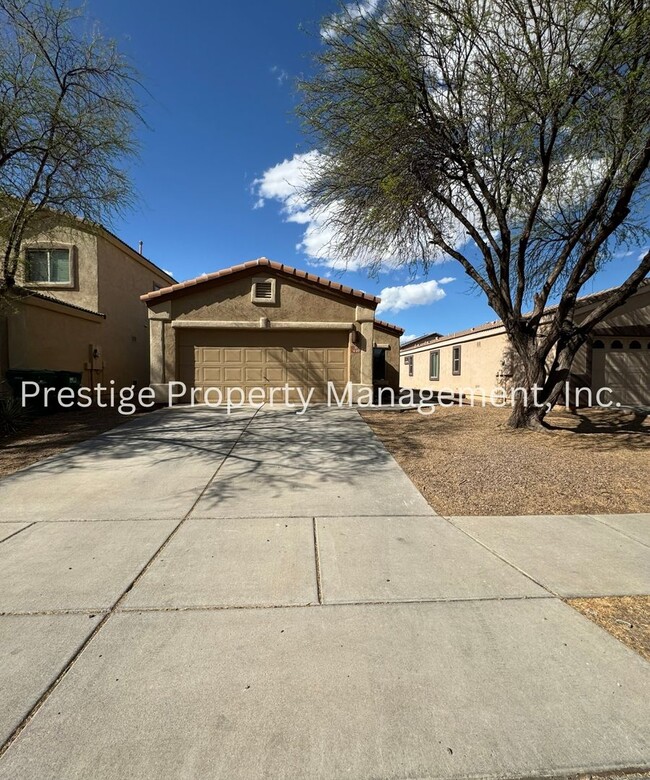 property at 449 East Placita Nodo