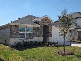 31111 Winchester Fls Ct in Fulshear, TX - Building Photo
