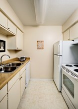 Lakeshire Place Apartment Homes in Webster, TX - Foto de edificio - Building Photo