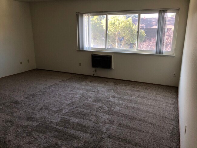 230 A St, Unit Standard Unit