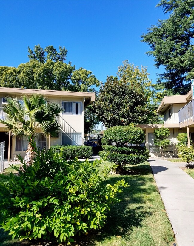 Pacific Arms Apartments
