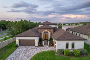 7876 Roma Dune Dr in Wesley Chapel, FL - Building Photo