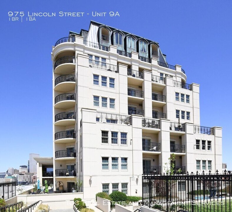 975 Lincoln St-Unit -Unit 9A in Denver, CO - Building Photo