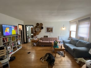 340 Ellis Ave in Iowa City, IA - Building Photo - Building Photo