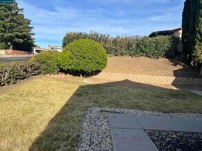 1091 Alamo Ct in Pittsburg, CA - Building Photo - Building Photo