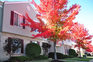 Meadow View Apartments