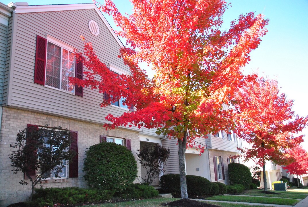 Meadow View in Springboro, OH - Foto de edificio