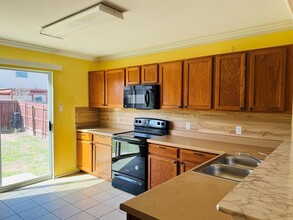 13312 Lismore Ln in Pflugerville, TX - Building Photo - Building Photo