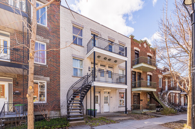 5950-5958 Molson St in Montréal, QC - Building Photo - Primary Photo