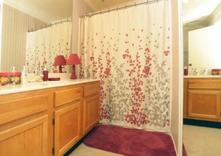 Parkridge Place Apartments in Abilene, TX - Building Photo - Interior Photo