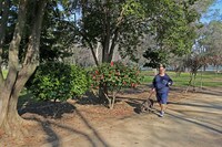 Central Sacramento