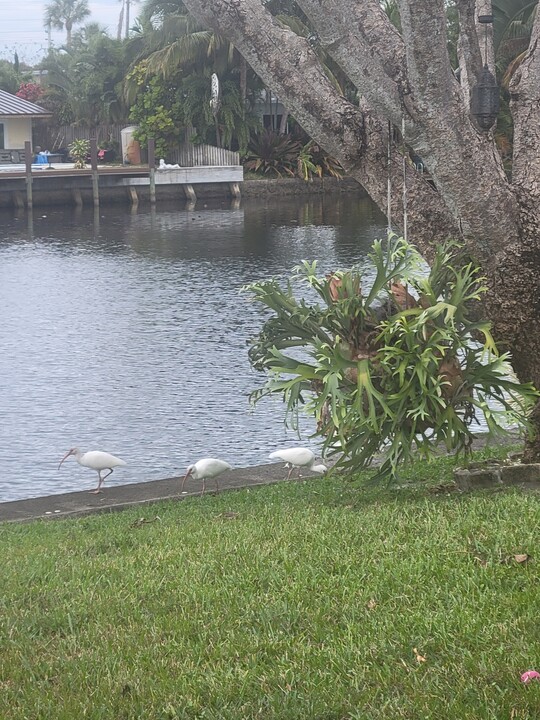 809 NW 30th St in Wilton Manors, FL - Building Photo