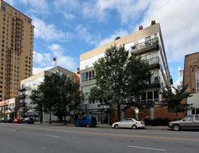 Timber Loft Building in Chicago, IL - Building Photo - Building Photo