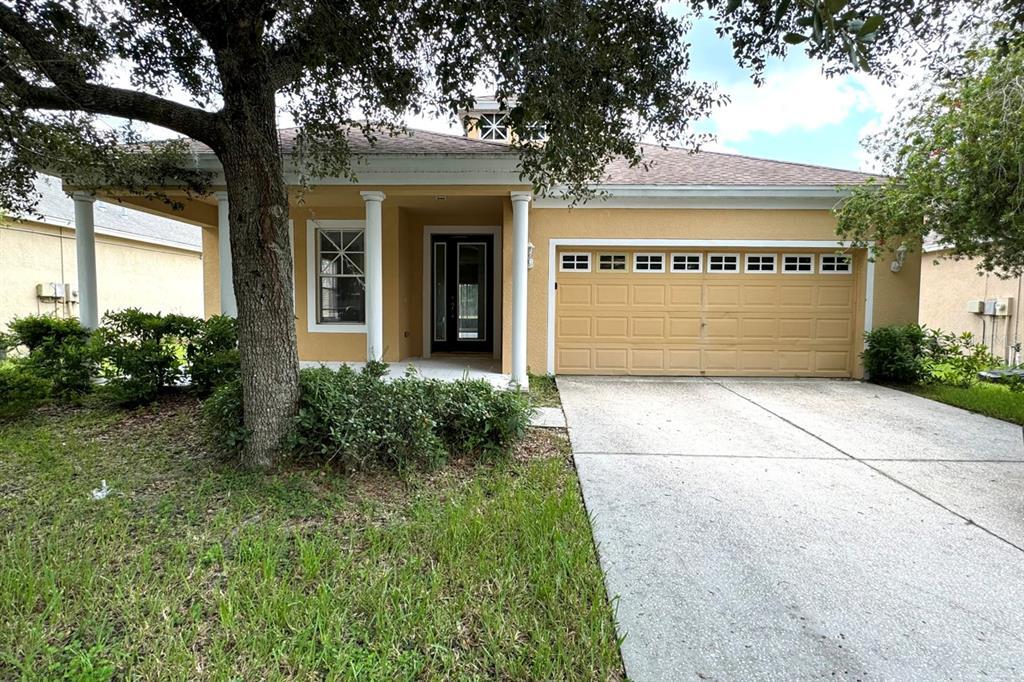 1134 Napolean Way in Wesley Chapel, FL - Building Photo