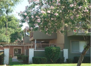 Emerald Pointe Apartments in Riverside, CA - Building Photo - Building Photo