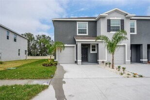 34275 Sorrel Mint Dr in Wesley Chapel, FL - Building Photo