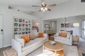 213 Firebridge Ct in Chapin, SC - Building Photo - Building Photo