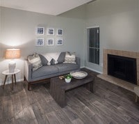 Broadstone Briar Forest photo'