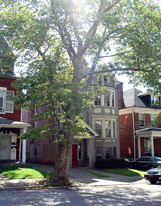 282 N Bellefield Ave in Pittsburgh, PA - Building Photo