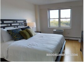 185 Freeman St in Brookline, MA - Foto de edificio - Building Photo