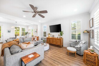 229 Windrow Way in Inlet Beach, FL - Building Photo - Building Photo