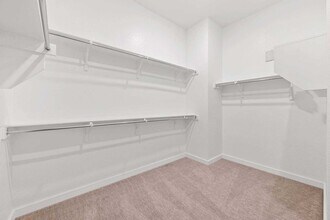 2901 Black Walnut St in McKinney, TX - Building Photo - Building Photo