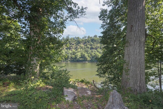1764 River Rd in Upper Black Eddy, PA - Building Photo - Building Photo