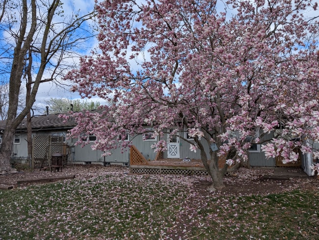 property at 524 Cactus Dr