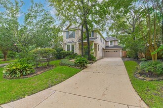 15 N Flickering Sun Cir in The Woodlands, TX - Building Photo - Building Photo