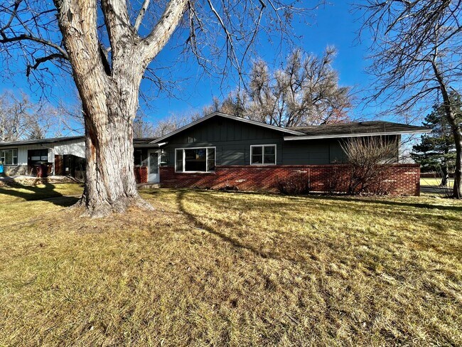 1044 Meadowbrook Dr in Fort Collins, CO - Foto de edificio - Building Photo