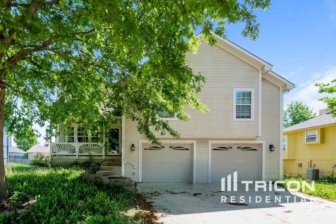 825 SW Ridgeview Dr in Grain Valley, MO - Building Photo