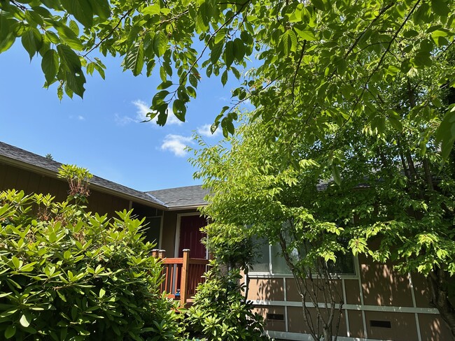 property at 11316 SE 230th Pl