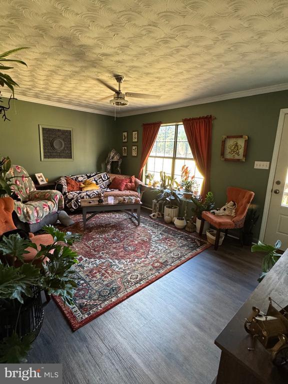 11535 Scotts Mill Rd in Culpeper, VA - Building Photo - Building Photo