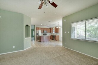 3931 Upper Passage Ln in Round Rock, TX - Building Photo - Building Photo