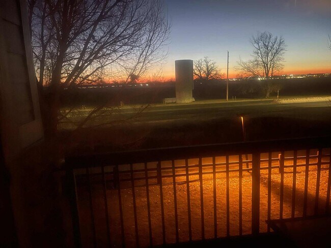 804 Summer Hawk Dr in Longmont, CO - Building Photo - Building Photo