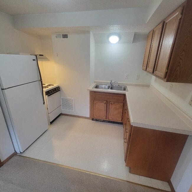 1011 Lincoln St in Vermillion, SD - Building Photo - Building Photo