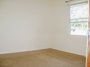 1116 S Hall St in Allentown, PA - Building Photo - Building Photo