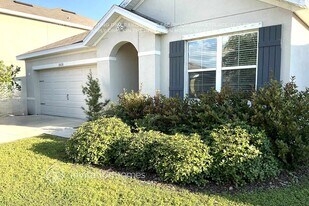 10028 Geese Trail Cir in Sun City Center, FL - Building Photo