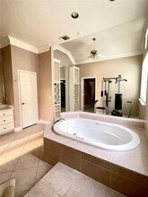 52 Palm Blvd in Missouri City, TX - Building Photo - Building Photo