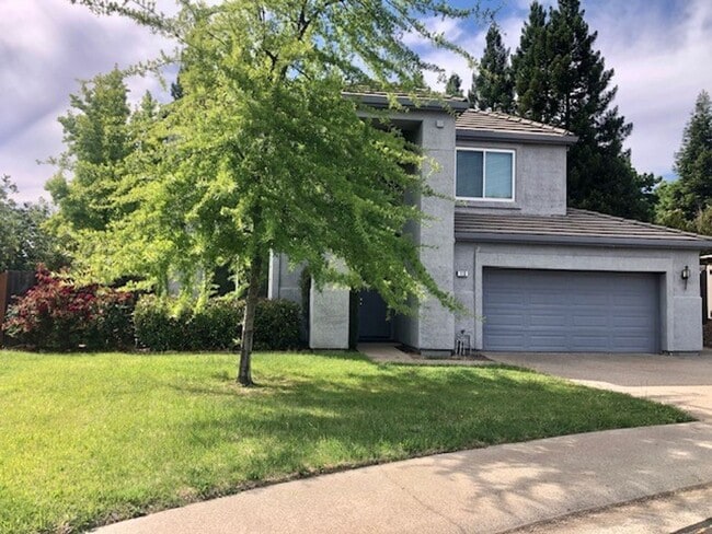 113 Honey Cook Cir in Folsom, CA - Building Photo - Building Photo