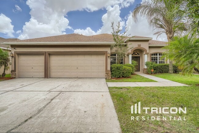 11767 Summer Springs Dr in Riverview, FL - Building Photo - Building Photo