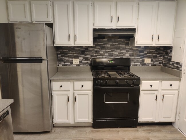 520 Meadow Green Ln in Round Lake Beach, IL - Foto de edificio - Building Photo